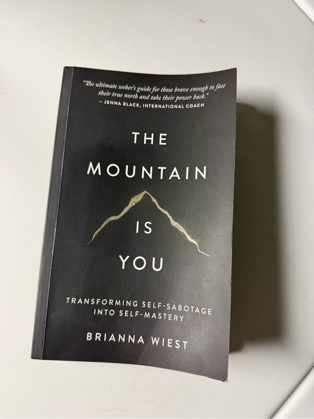 The Mountain Is You by Brianna Wiest - Black & Gold Paperback